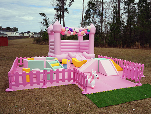 Arya's Playground and Bounce Castle